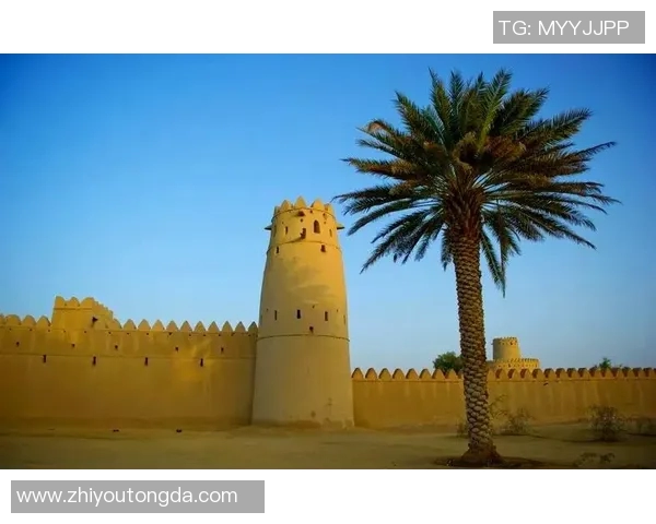 探索巴拉哈的神秘世界与文化遗产之旅